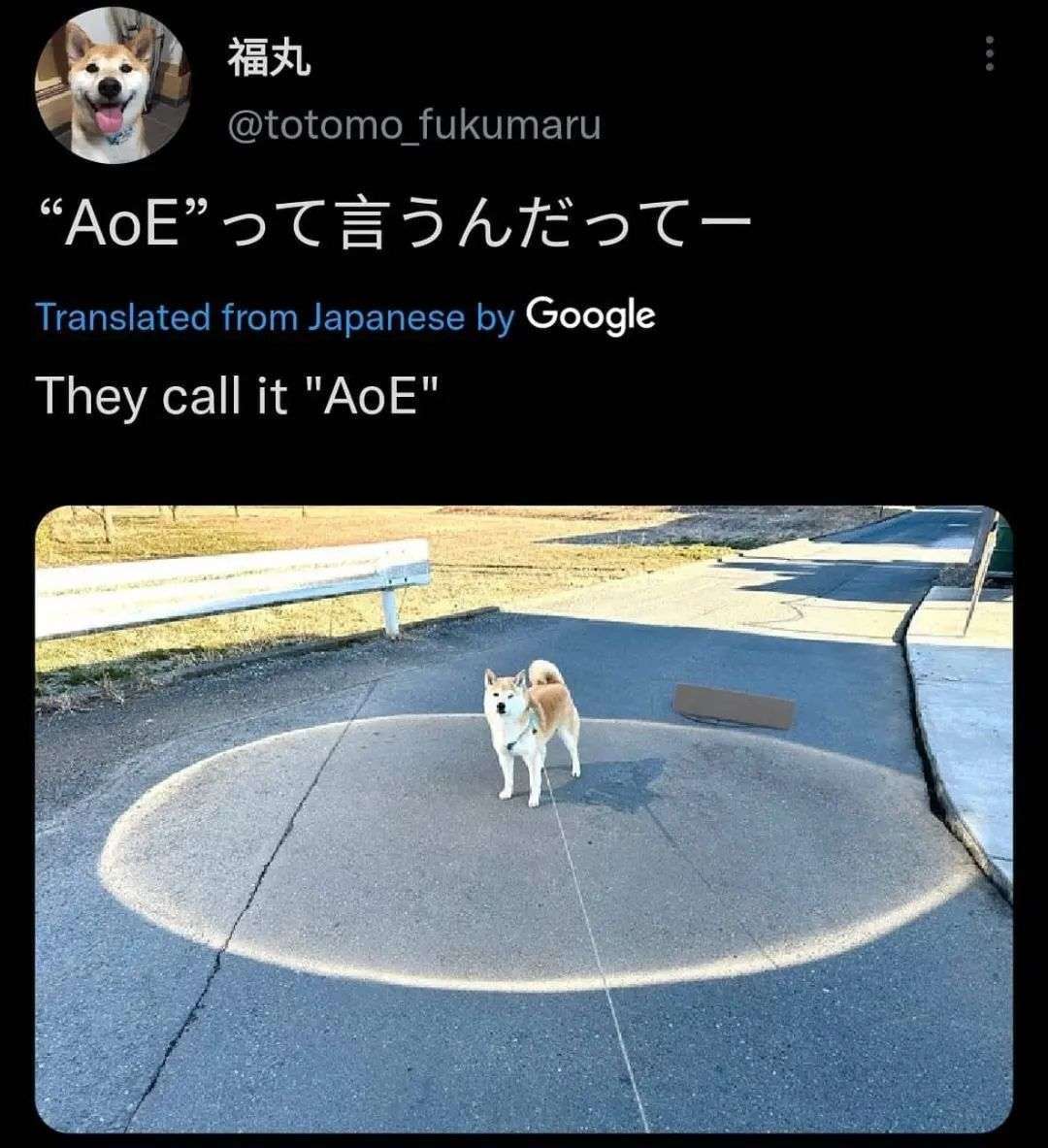 Dog with an AOE circle